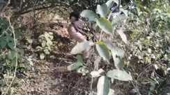 शराब माफियाओं 