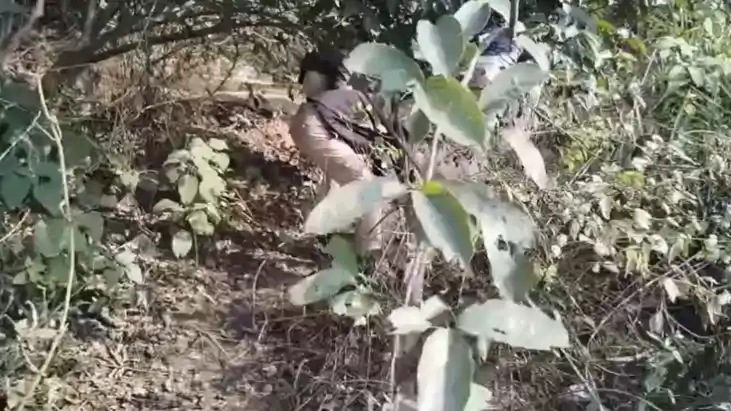 शराब माफियाओं 