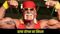  Hulk Hogan Dies