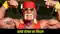  Hulk Hogan Dies