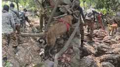 Munger Police STF Operation inside Bhaisadah Forest