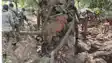 Munger Police STF Operation inside Bhaisadah Forest