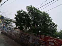 Bihar Weather 
