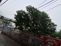 Bihar Weather 