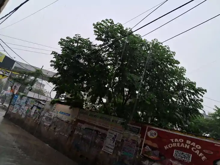 Bihar Weather 