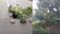Heavy Rain Hits Patna Road Collapses Lightning Kills Four in bihar