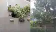 Heavy Rain Hits Patna Road Collapses Lightning Kills Four in bihar