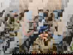Bihar Cyber Crime - पीएम मोदी की तस्वीर लगाकर लोगों को मुद्रा लोन दिलाने का करते थे दावा, पुलिस ने ठगों को किया जेल में ‘अच्छी सेवा’ का वादा