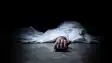 Bihar News : किसान ने डिप्रेशन में की खुदकुशी की कोशिश, मायागंज अस्पताल में इलाज के दौरान तोड़ा दम, परिजनों में मचा कोहराम 