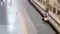 Woman Dies After Falling While Boarding Train in Supaul