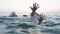 5 girls drown while bathing in the Ganges SDRF search operation underway