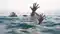 5 girls drown while bathing in the Ganges SDRF search operation underway