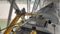 Patna-Baruni Rail Line Disrupted 