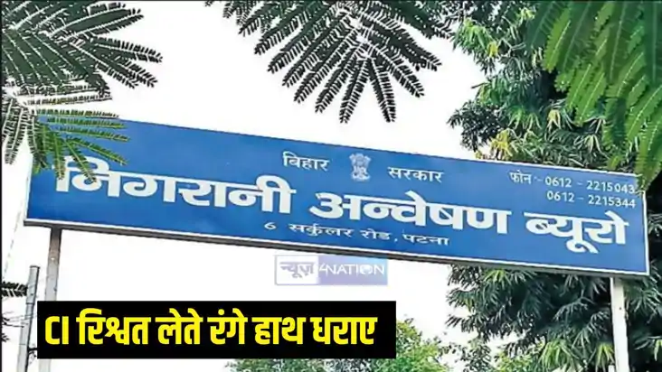 निगरानी विभाग निगरानी विभाग