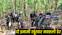 Encounter with Naxalites