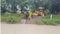 Saran mashrak sonauli Canal Breach