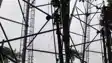 Muzaffarpur Youth Climbs Tower Over Delay in Mobile Release