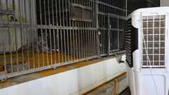 Patna Zoo Cool Operation AC Coolers Special Diet for Animals