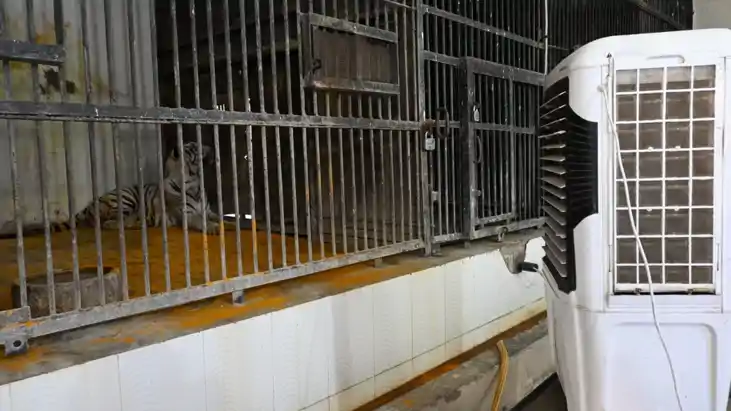 Patna Zoo Cool Operation AC Coolers Special Diet for Animals