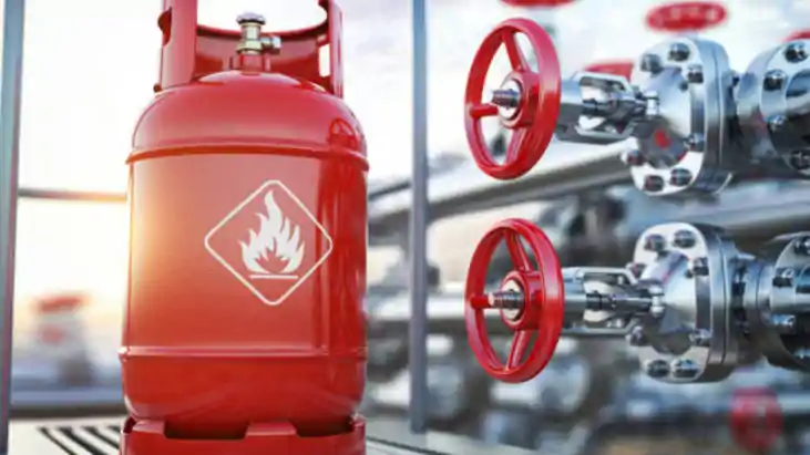 India US LPG purchase