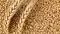 Wheat Export Ban Lifted 