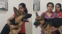 इंसान और जानवर के प्रेम की दुखद दास्तां: बीमार कुत्ते के सदमे में बहनों ने की आत्महत्या, उजड़ गया परिवार