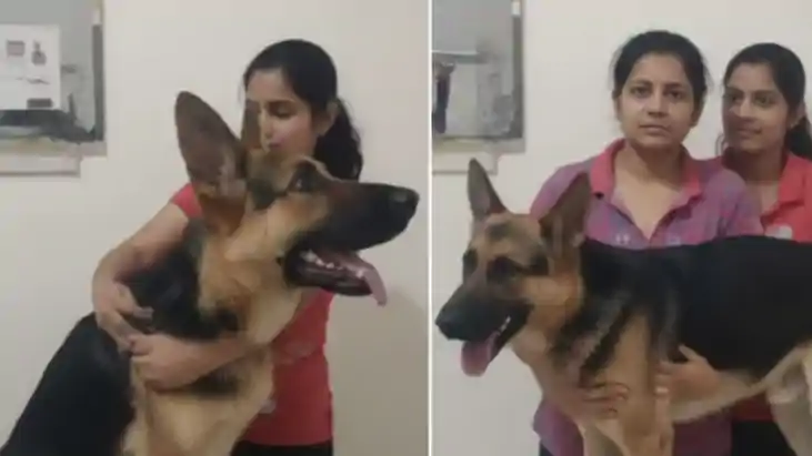 इंसान और जानवर के प्रेम की दुखद दास्तां: बीमार कुत्ते के सदम