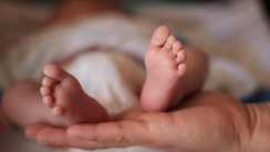 Bihar News:बिहार में झाड़ियों में तड़पती मिली नवजात बच्ची, चींटियों के बीच मौत से जंग जारी, पुलिस ने बचाई जान