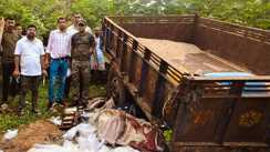Bihar News : गया में शराबबंदी को लेकर बड़ा एक्शन, इमामगंज थाना परिसर में 800 लीटर अवैध शराब किया विनष्ट
