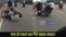 Bike Accident Video