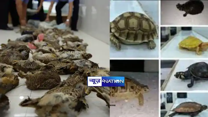 animal smuggling in bihar