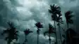Monsoon update 2026