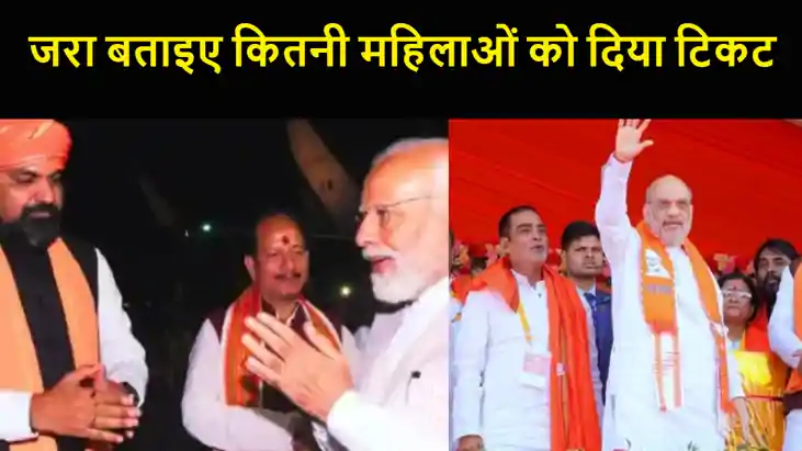 बिहार बीजेपी से आधी आबादी' को नहीं मिला टिकट, लोकसभा चुनाव 2 बिहार बीजेपी से आधी आबादी' को नहीं मिला टिकट, लोकसभा चुनाव 2