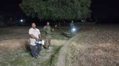 Nawada Tragedy Elephant Attack Kills Youth Panic in Village