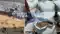 maner haldi chhapra flood protection scam