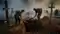 Sitamarhi Minor Body Exhumed Probe Into Alleged Murder Conspiracy Cases