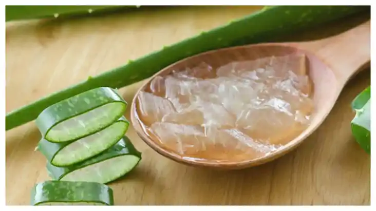 Skin Care Tips: स्किन के हर प्रॉबलम का सॉल्यूशन है एलोवेरा ज