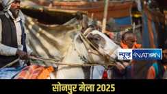 Sonpur mela 2025