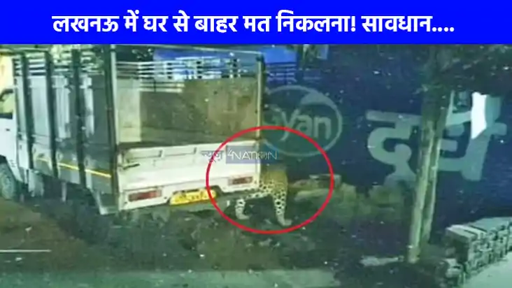 UP NEWS: लखनऊ में बाहर सड़कों पर घूम रहा है तेंदुआ, तेंदुए क