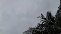 Bihar weather 