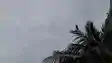 Bihar weather 