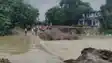 Mahane River Swallows 