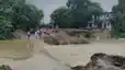 Mahane River Swallows 