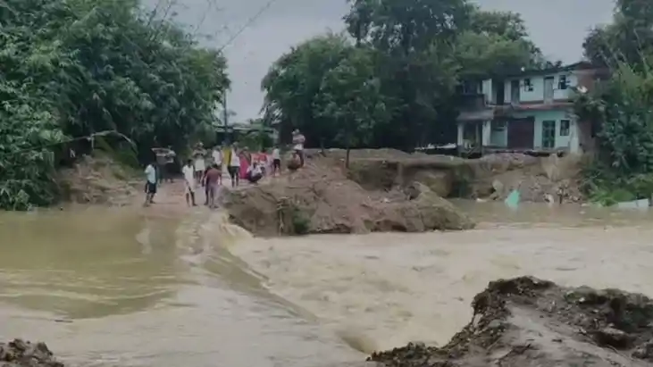 Mahane River Swallows 