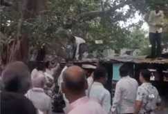  Money Tree - कथाओं की कहानी हो गई सच,  पेड़ से गिरने लगे 500-500 के नोट, लूटने के लिए मची होड़