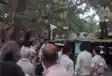  Money Tree - कथाओं की कहानी हो गई सच,  पेड़ से गिरने लगे 500-500 के नोट, लूटने के लिए मची होड़