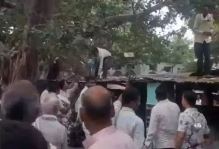  Money Tree - कथाओं की कहानी हो गई सच,  पेड़ से गिरने लगे 50