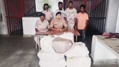 Bihar Crime News : बिहार से यूपी जा रही गांजा की बड़ी खेप पुलिस ने किया बरामद, मौके से तीन तस्करों को किया गिरफ्तार 