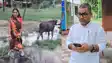 Bihar News : भैंस किसकी? गया में मालिकाना हक तय करने के लिए अब होगी DNA जांच, आईजी विकास वैभव ने दिया आदेश 