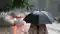Bihar Weather